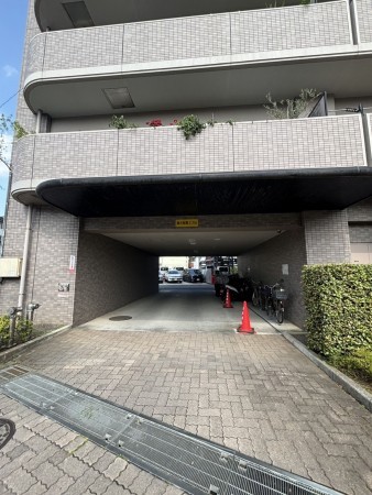 相模原市南区南台、マンションの画像です