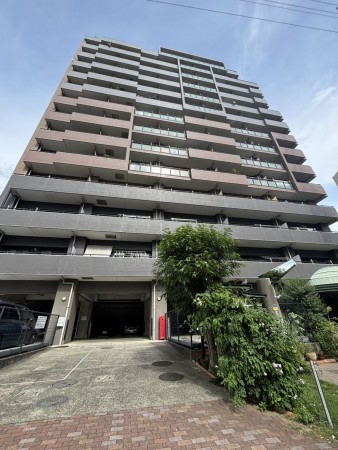 相模原市南区上鶴間本町、マンションの画像です