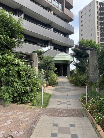 相模原市南区上鶴間本町、マンションの画像です