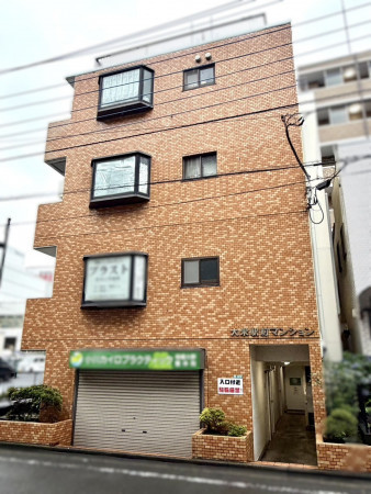 相模原市南区相模大野、収益物件/店舗付住宅の画像です