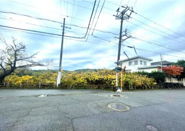 泉南市信達市場、土地の画像です