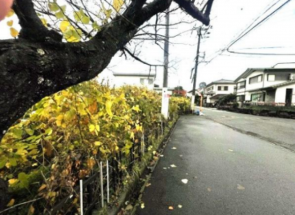 泉南市信達市場、土地の画像です