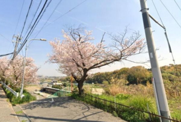 泉南市信達市場、土地の画像です