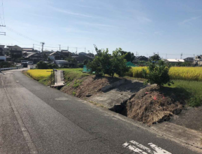 阪南市貝掛、土地の画像です