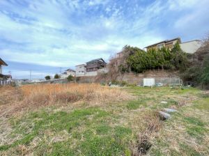 阪南市箱作、土地の画像です