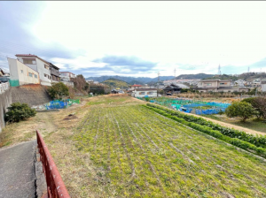 阪南市箱作、土地の画像です