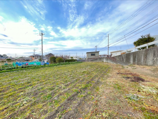 阪南市箱作、土地の画像です