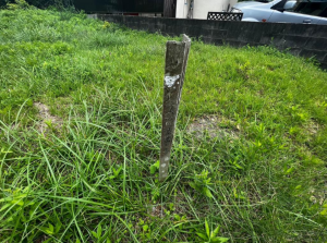 泉南郡岬町淡輪、土地の画像です