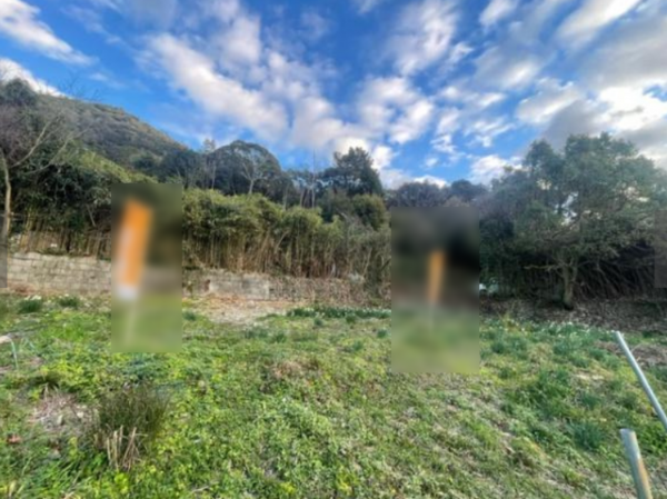 泉南郡岬町淡輪、土地の画像です