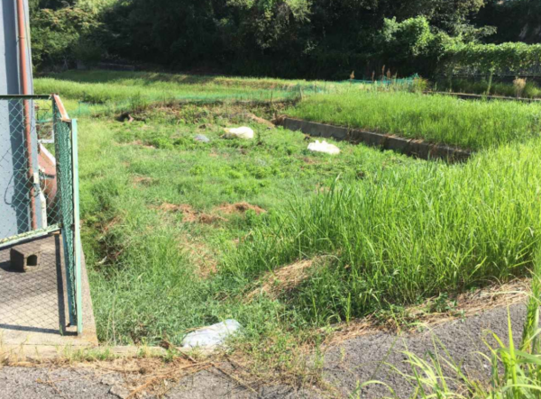 阪南市南山中、土地の画像です