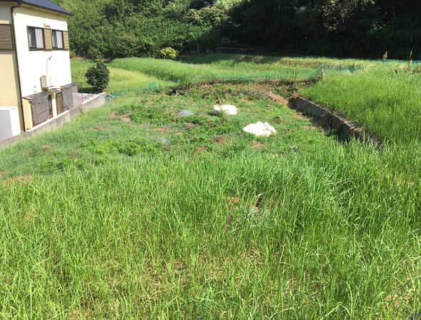 阪南市南山中、土地の画像です
