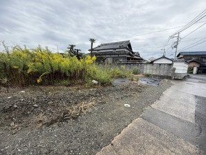 泉南郡岬町淡輪、土地の画像です