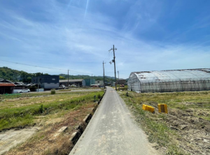 阪南市箱作、土地の画像です