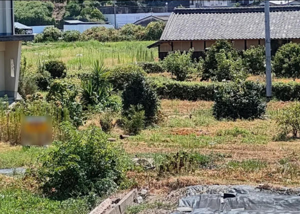 泉南市新家、土地の画像です