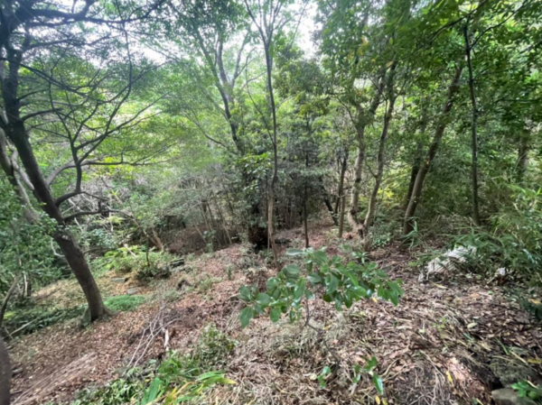 泉南郡岬町淡輪、土地の画像です