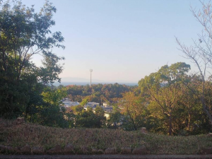 泉南郡岬町深日、土地の画像です