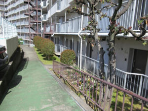 泉南市信達市場、マンションの画像です