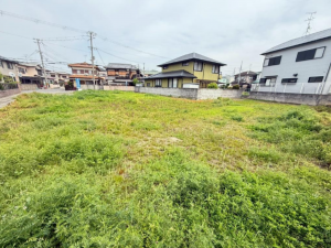 阪南市自然田、土地の画像です