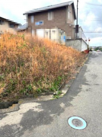 阪南市箱作、土地の画像です
