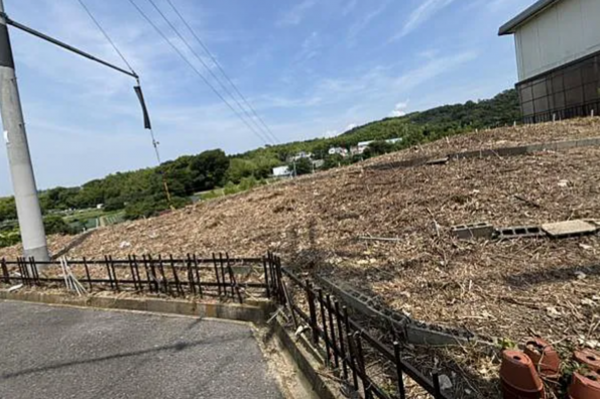 泉南市信達市場、土地の画像です