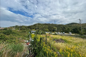 泉南郡岬町深日、土地の画像です