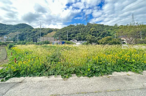 泉南郡岬町深日、土地の画像です