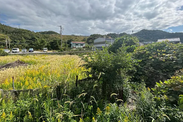 泉南郡岬町深日、土地の画像です