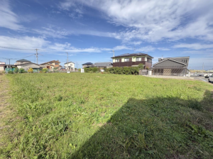 阪南市箱作、土地の画像です