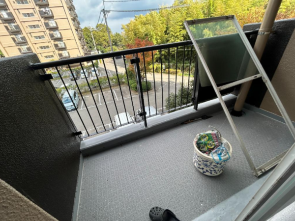 泉南市信達大苗代、マンションの画像です