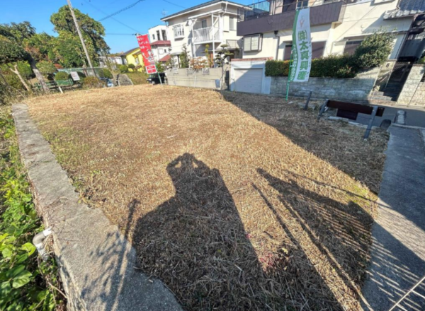 泉南市信達大苗代、土地の画像です