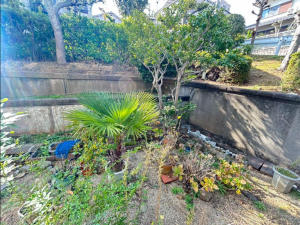 泉南市信達市場、マンションの画像です