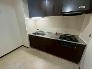 泉南市信達大苗代、マンションの画像です