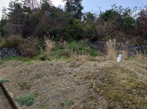 阪南市光陽台、土地の画像です