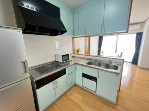 阪南市桃の木台、中古一戸建ての画像です