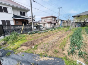 泉南市信達市場、土地の画像です