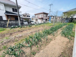 泉南市信達市場、土地の画像です
