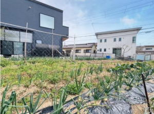 泉南市信達市場、土地の画像です