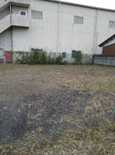 邑楽郡邑楽町大字篠塚、土地の画像です