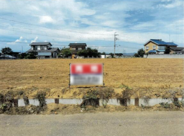 邑楽郡邑楽町大字中野、土地の画像です