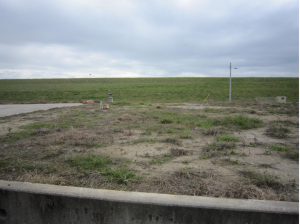 邑楽郡明和町梅原、土地の画像です