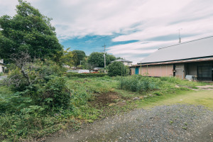 邑楽郡邑楽町大字中野、土地の画像です