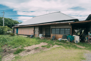 邑楽郡邑楽町大字中野、土地の画像です