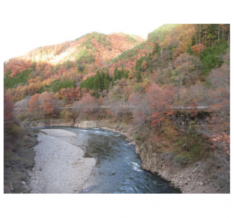 高山市高根町、土地の画像です
