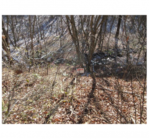 高山市高根町、土地の画像です