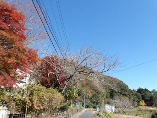 豊田市御船町、土地の画像です