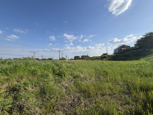 豊田市中町、土地の画像です
