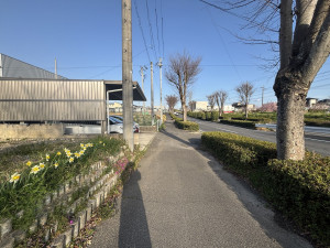 豊田市亀首町、土地の画像です