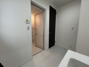 豊田市明和町、新築一戸建ての洗面画像です