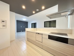 豊田市明和町、新築一戸建てのキッチン画像です
