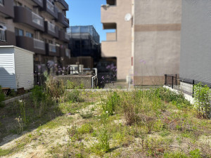 豊田市高上、土地の画像です